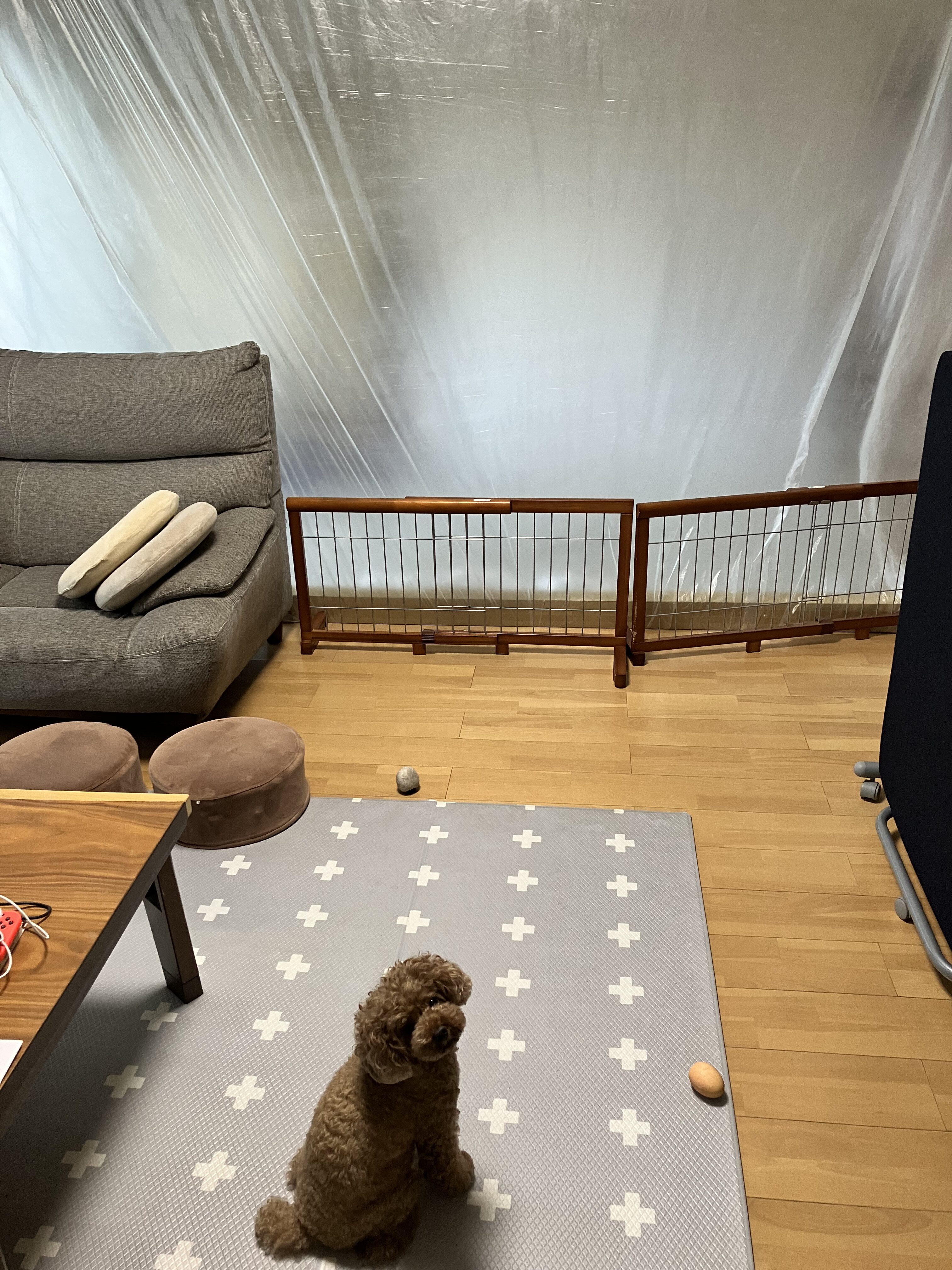 壁を撤去して埃や木屑が入らないように大きなビニールを張っている